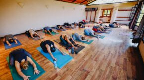 20230422_02_yoga-and-meditations-at-earth-lodge-yoga-studio